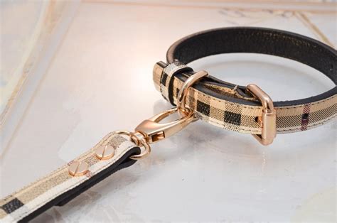 designer dog collars burberry